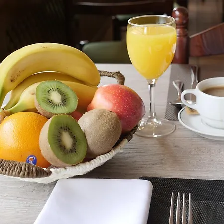 涅维索尔酒店 酒店 3*